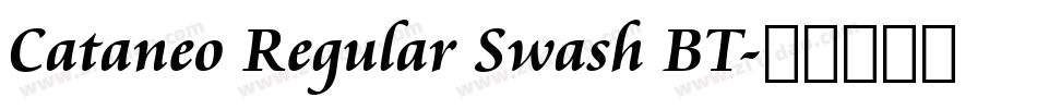 Cataneo Regular Swash BT字体转换